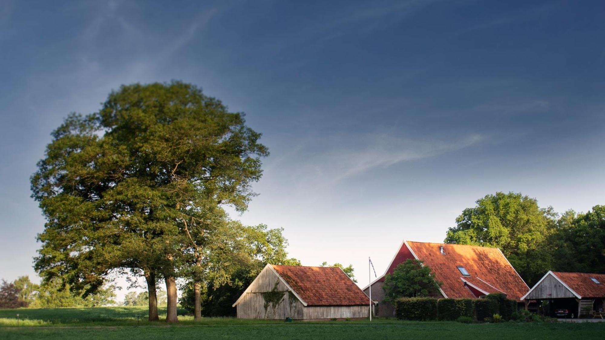 Buitenverblijf Het Grootenhuis Winterswijk Henxel Exterior foto